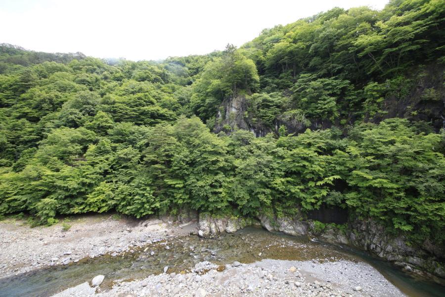 Hotel Minshuku Fukufuji Nikko Zewnętrze zdjęcie
